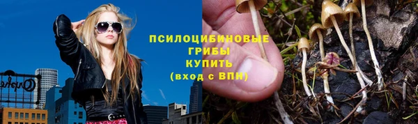 дмт Дмитровск