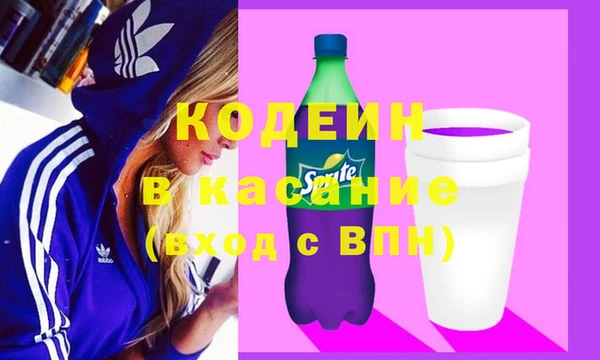 хмурый Дмитров