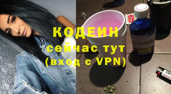 хмурый Дмитров