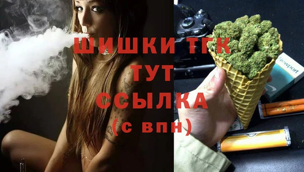 дмт Дмитровск