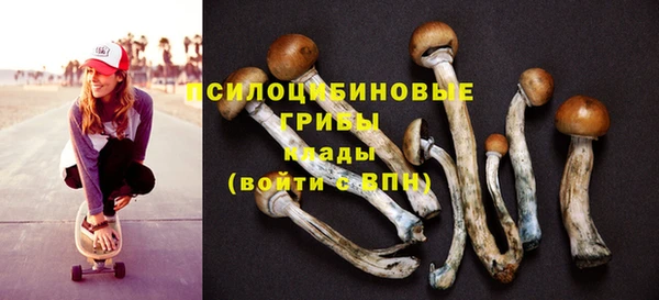 хмурый Дмитров