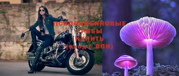 хмурый Дмитров