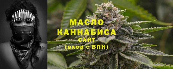 дмт Дмитровск