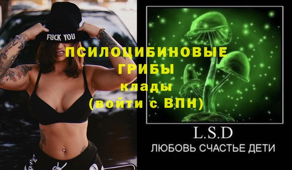 дмт Дмитровск