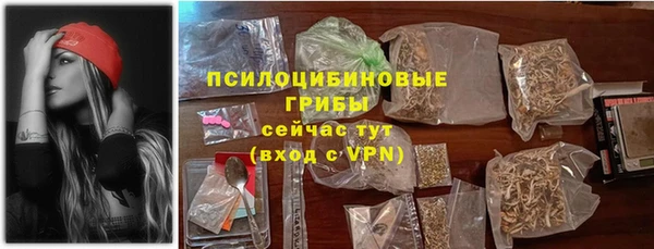 хмурый Дмитров