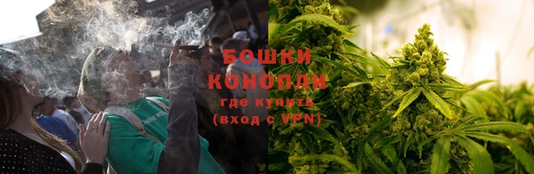 хмурый Дмитров