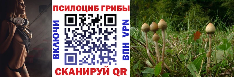 Псилоцибиновые грибы прущие грибы  купить наркоту  Оренбург 