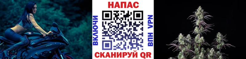 Шишки марихуана планчик  как найти закладки  Оренбург 